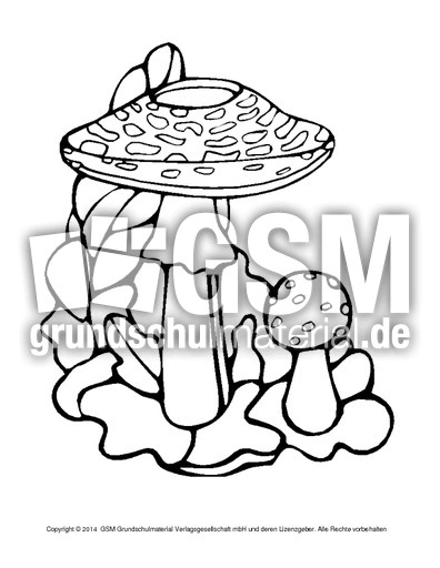 Pilze-zum-Ausschneiden.pdf